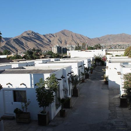 מלון Copiapó Oasis De Atacama מראה חיצוני תמונה