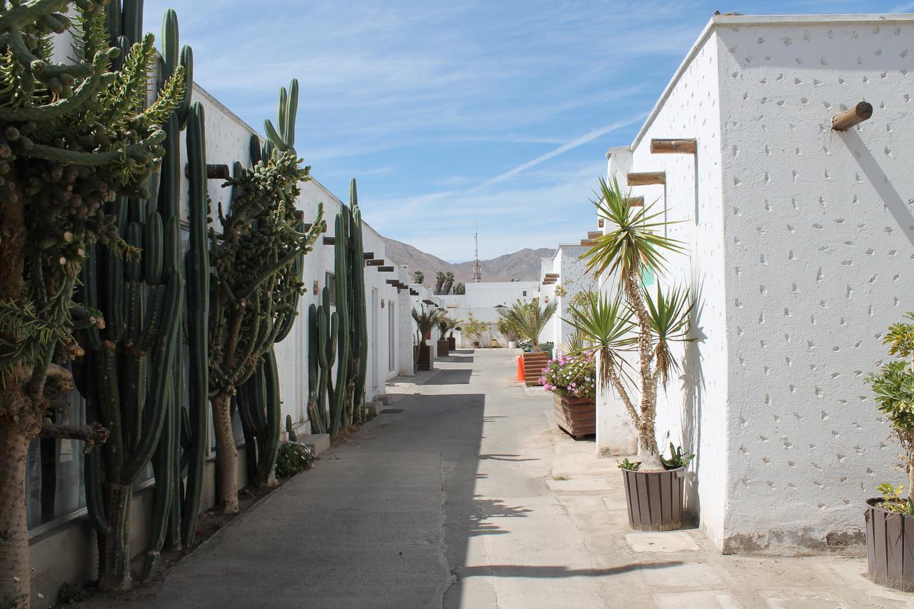 מלון Copiapó Oasis De Atacama מראה חיצוני תמונה