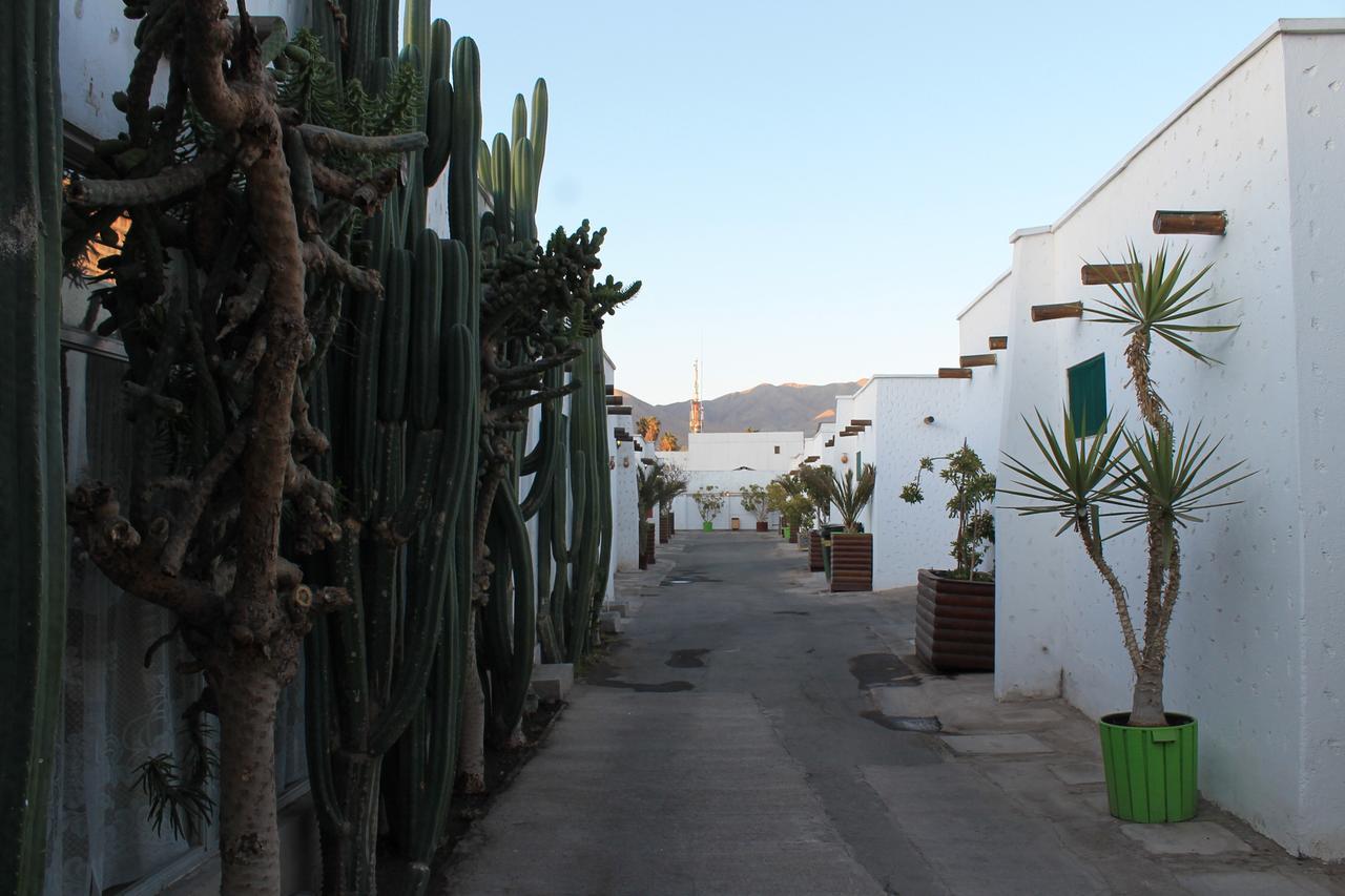 מלון Copiapó Oasis De Atacama מראה חיצוני תמונה